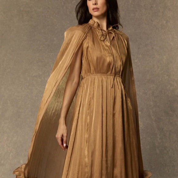 Elegant Brown Women's Dress - Picture 10 of 11